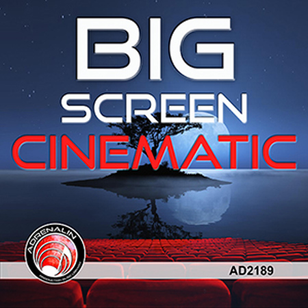 Big Screen Orchestra 표지