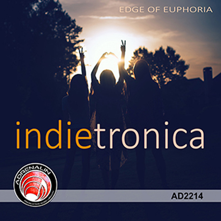 Indietronica 표지