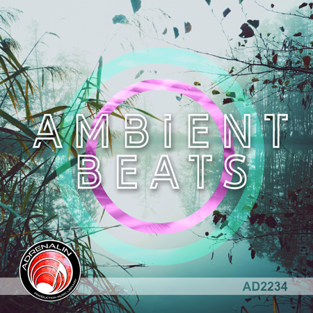 Ambient Beats 표지