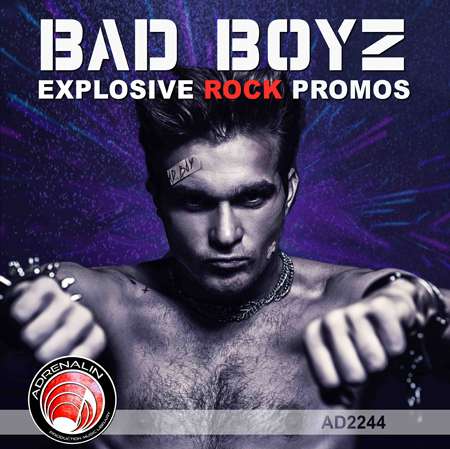 Bad Boyz - Explosive Rock Promos 표지