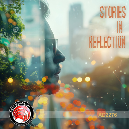Stories In Reflection 표지