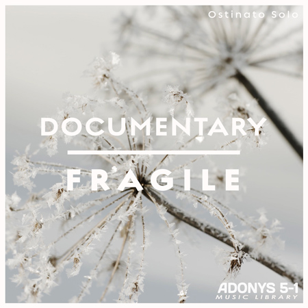 DOCUMENTARY - FRAGILE 표지