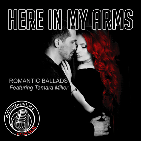 Here In My Arms 표지