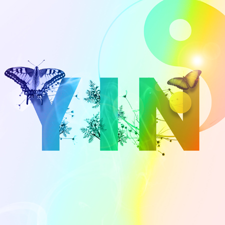 Yin 표지