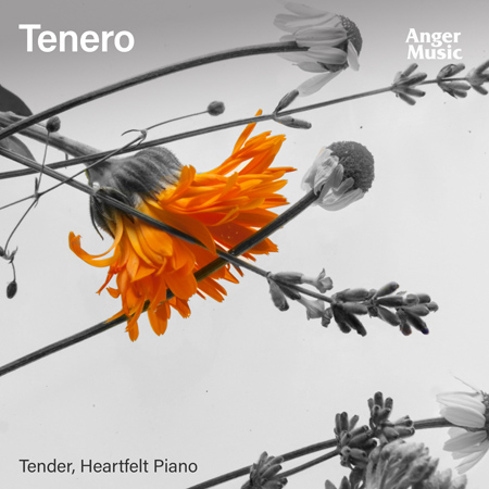 Tenero 표지