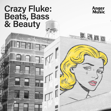 Crazy Fluke: Beats, Bass And Beauty 표지