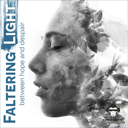 Faltering Light - In Between Hope and Despair 표지