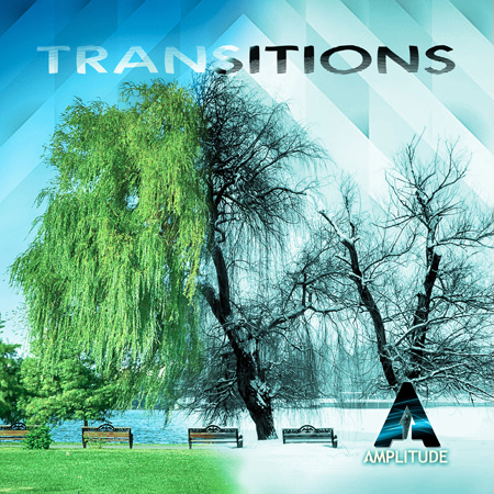 Transitions 표지