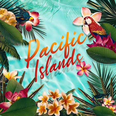 PACIFIC ISLANDS 표지