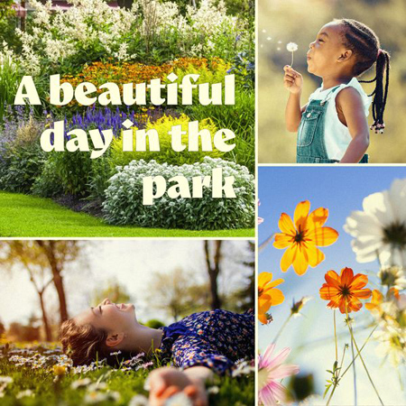A BEAUTIFUL DAY IN THE PARK 표지