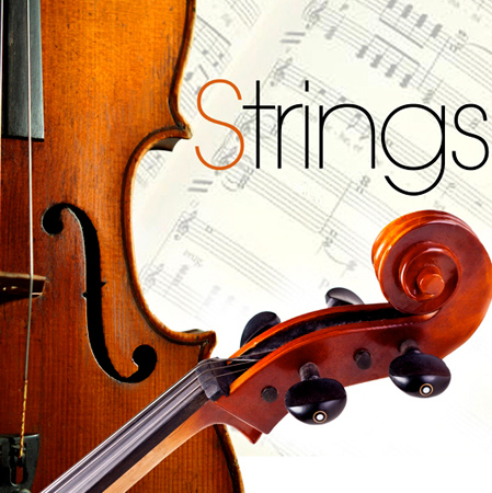 STRINGS 표지
