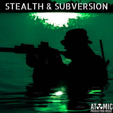 Stealth and Subversion 표지