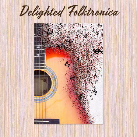 Delighted Folktronica 표지