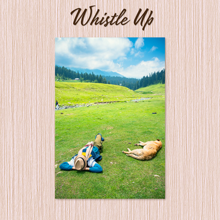 whistle 표지