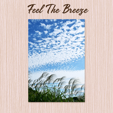 Feel The Breeze 표지