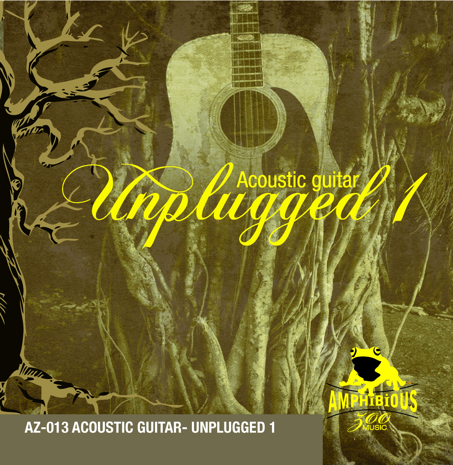 unplugged 1 - acoustic guitar 표지