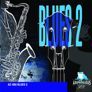blues 2 표지