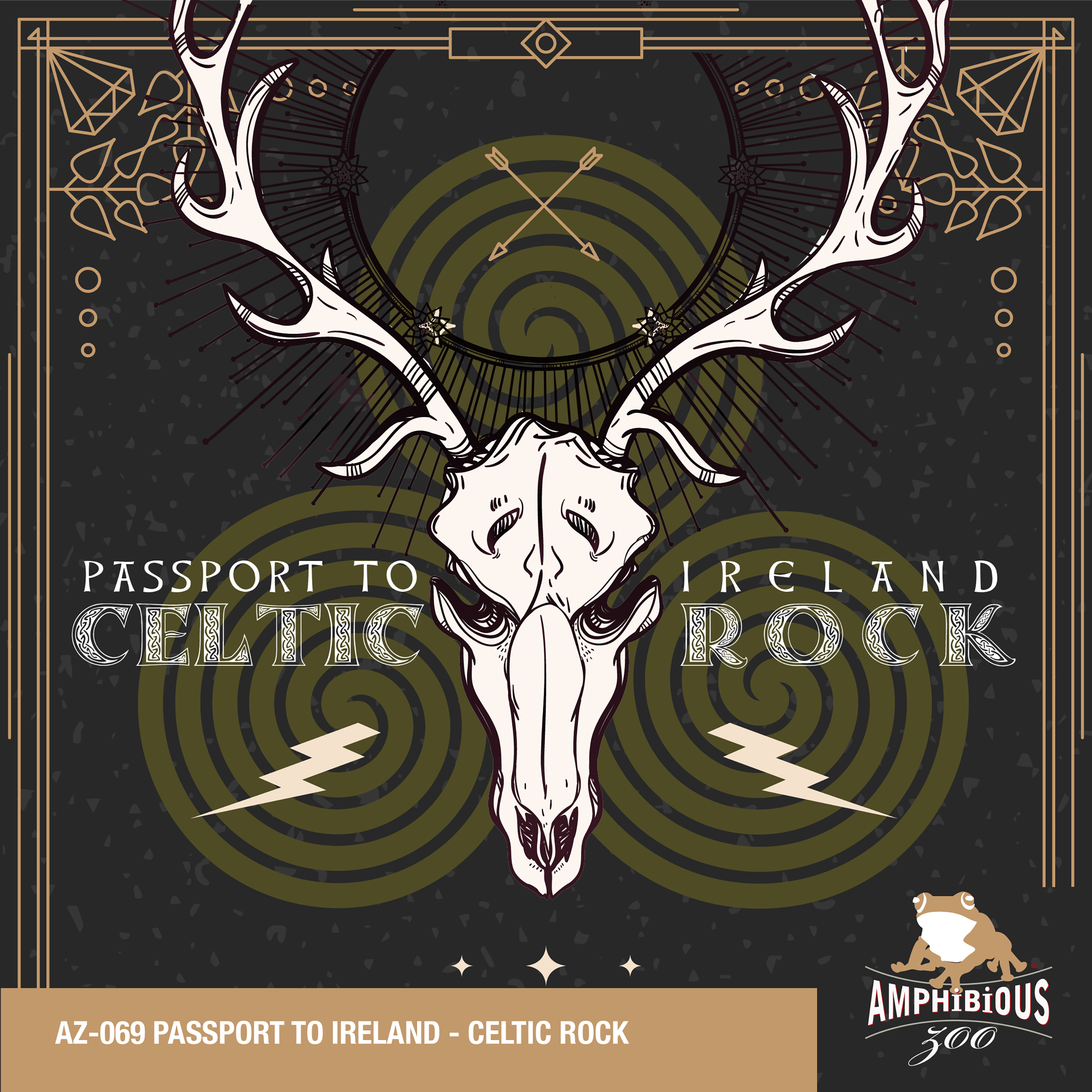 passport to ireland - celtic rock 표지