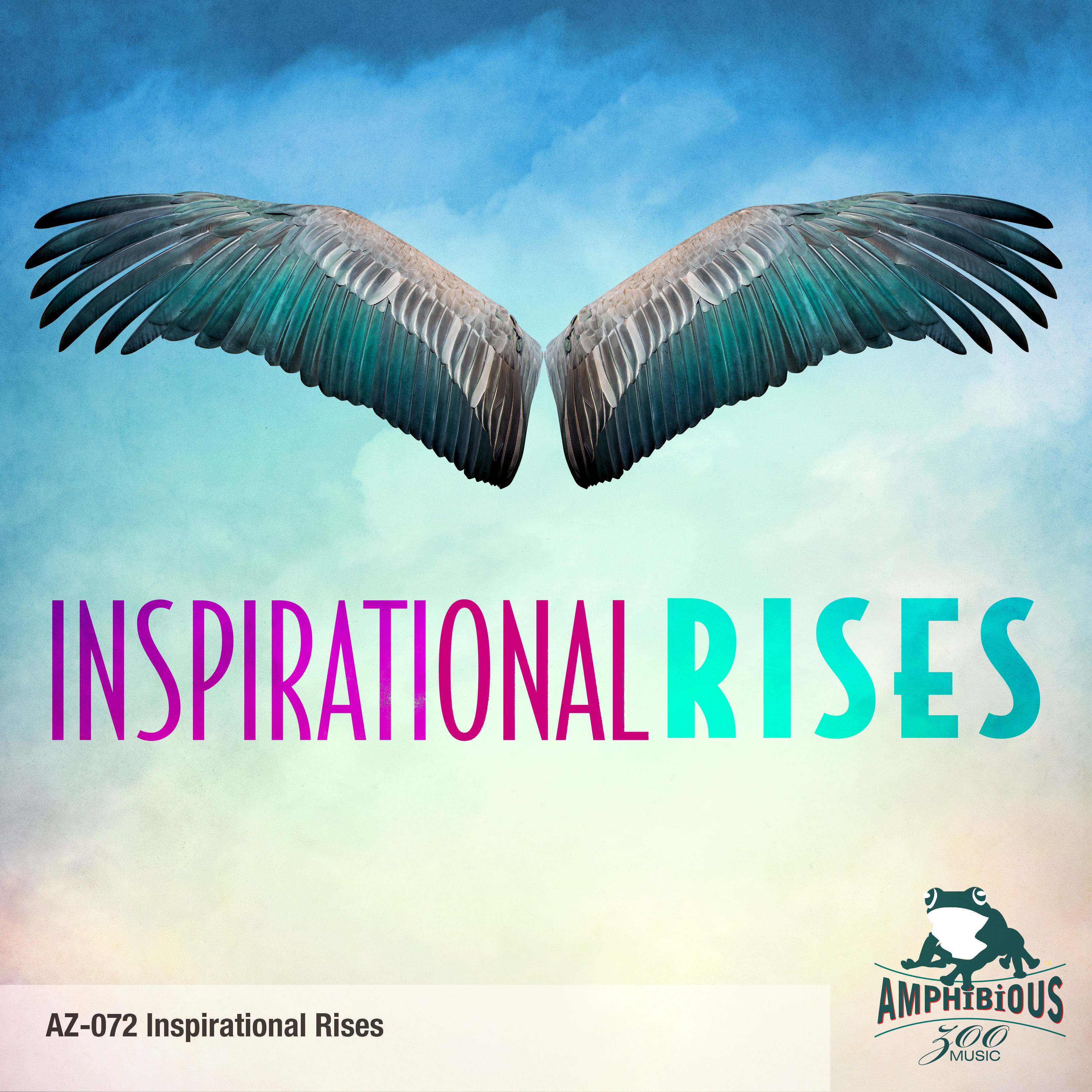 inspirational rises 표지