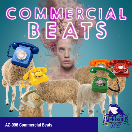 Commercial Beats 표지