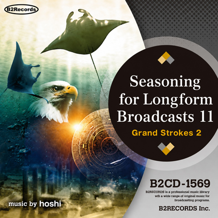 Seasoning for Longform Broadcasts 11: Grand Strokes 2 표지