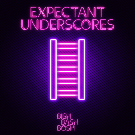 EXPECTANT UNDERSCORES 표지