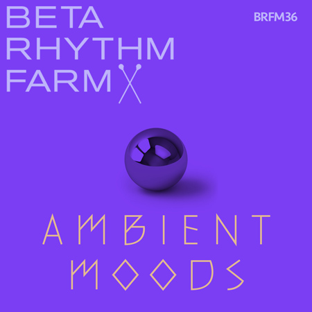 Ambient Moods 표지