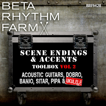 scene endings & accents toolbox vol 2 acoustic guitars, dobro, banjo, sitar, pipa & ukelele 표지