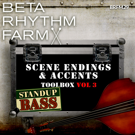 scene endings & accents toolbox vol 3 standup bass 표지