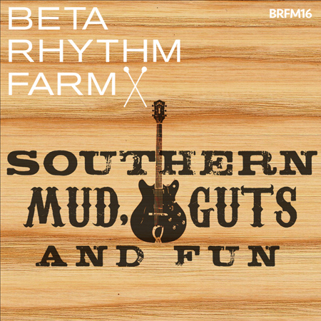 brfm16 - southern mud, guts and fun 표지