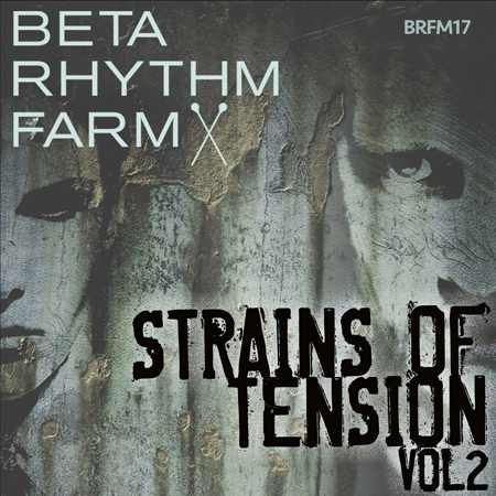 brfm17 - strains of tension vol 2 표지
