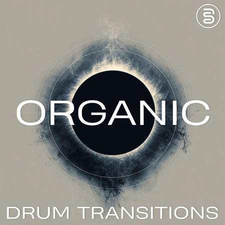 Organic Drum Transitions - Bridges 표지