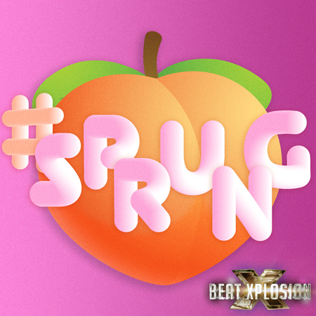 #sprung 표지