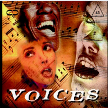 VOICES 표지