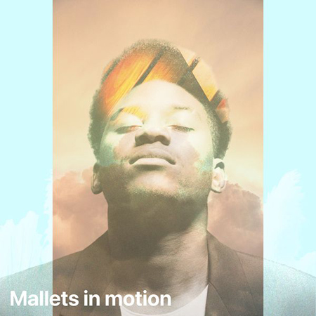 MALLETS IN MOTION 표지