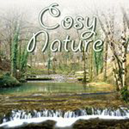 COSY NATURE 표지