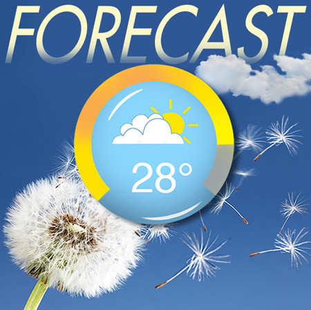 FORECAST 표지