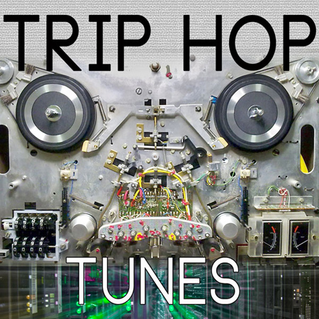 TRIP HOP TUNES 표지