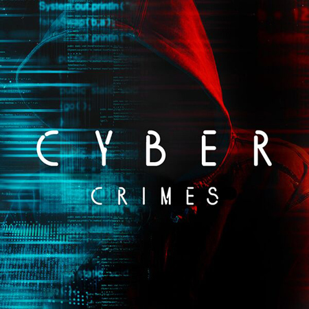 CYBER CRIMES 표지
