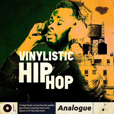 VINYLISTIC HIP HOP 표지