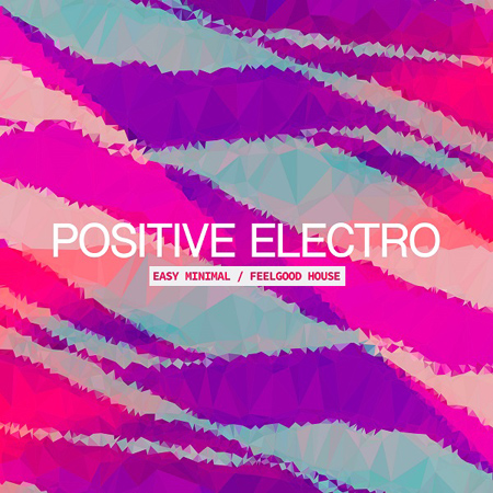 POSITIVE ELECTRO 표지