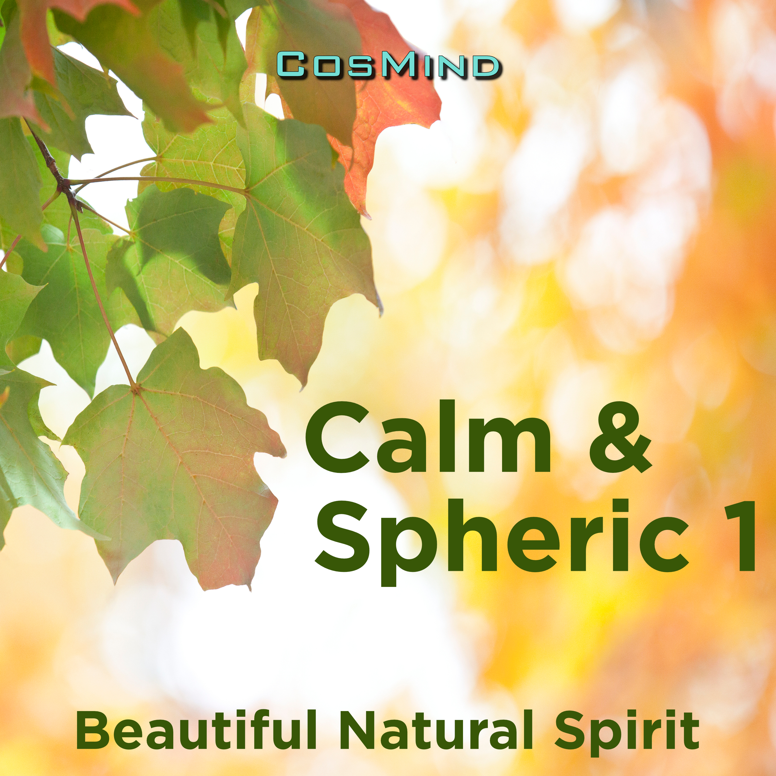 calm & spheric 1 표지