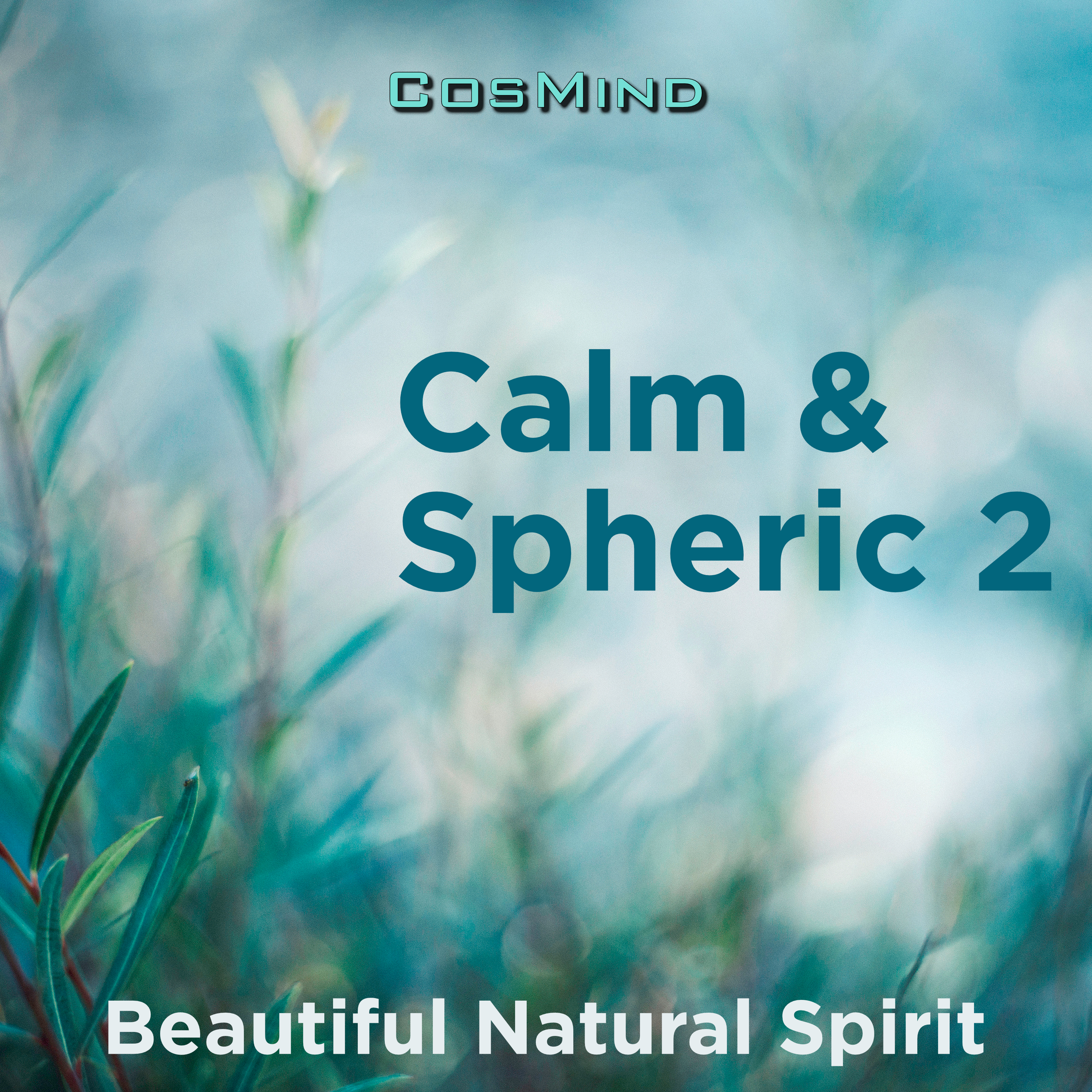 calm & spheric 2 표지