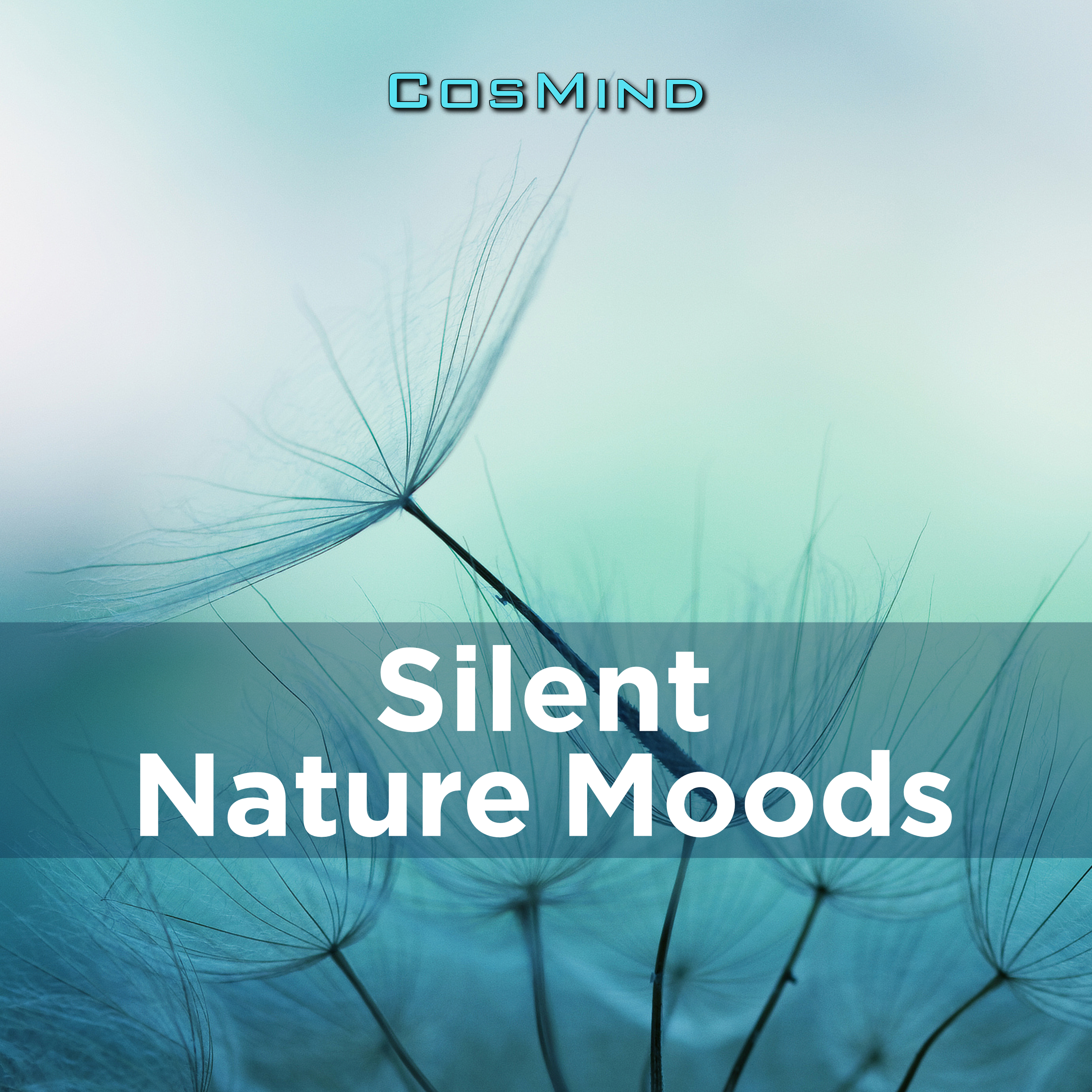 silent nature moods 표지