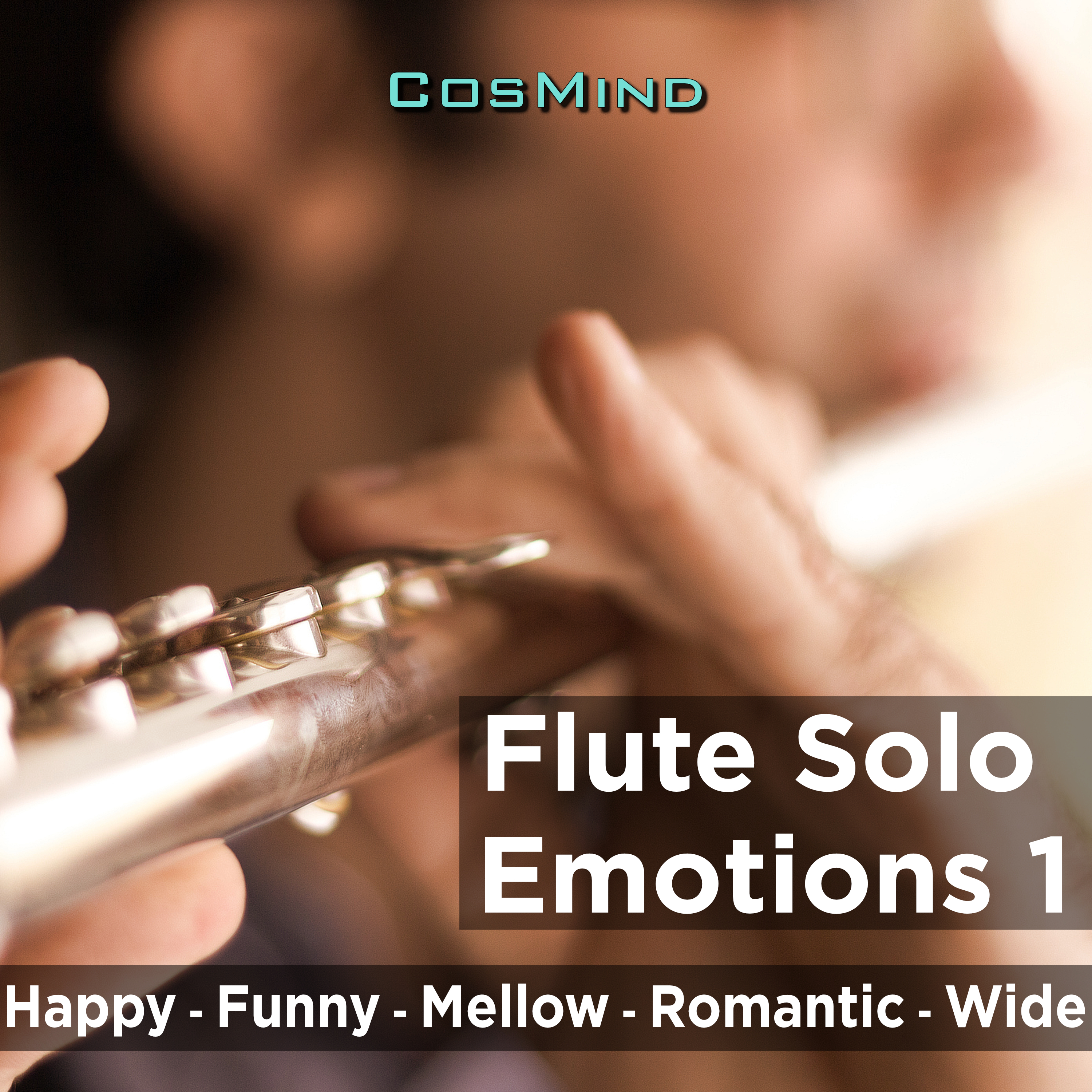 flute solo emotions 1 표지
