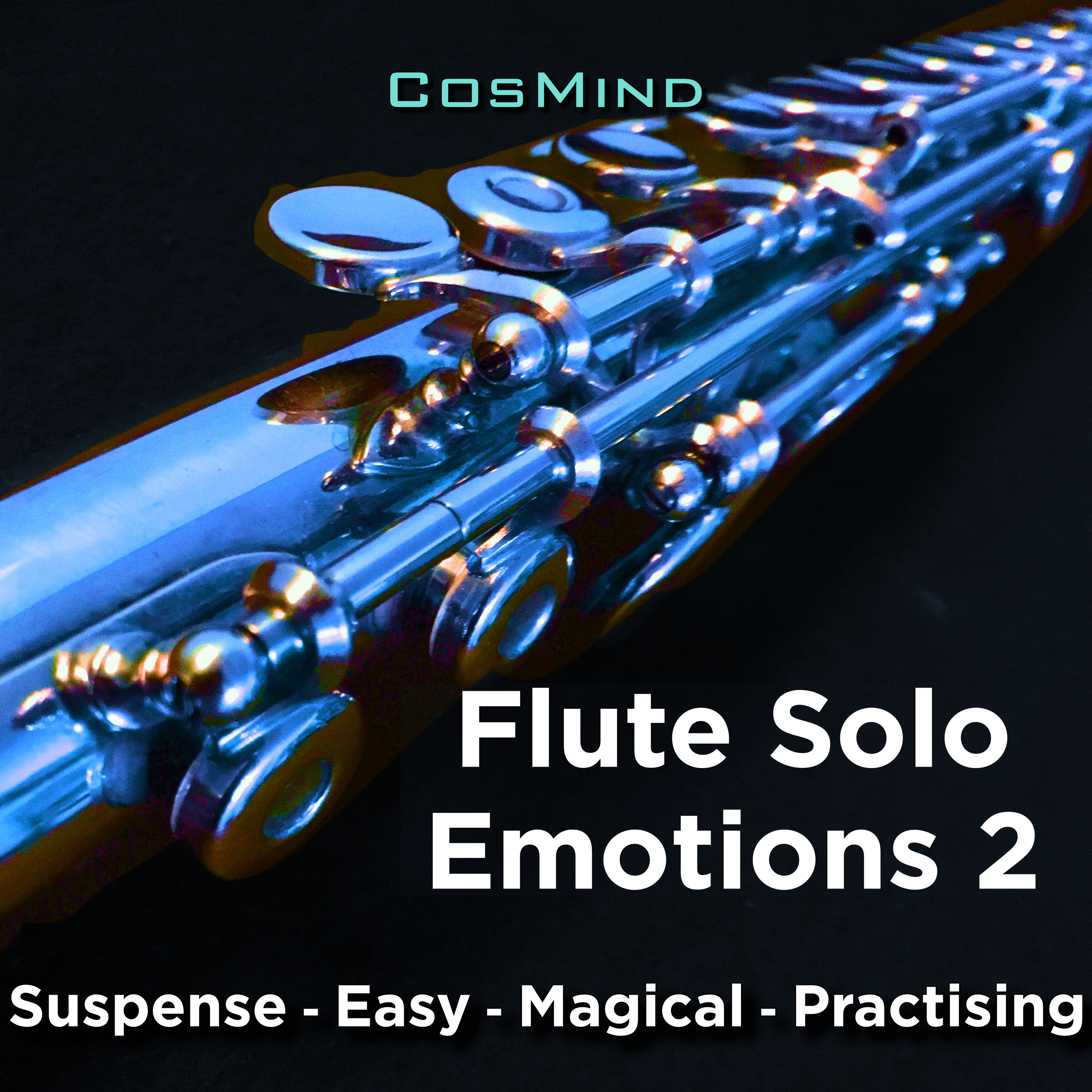 flute solo emotions 2 표지