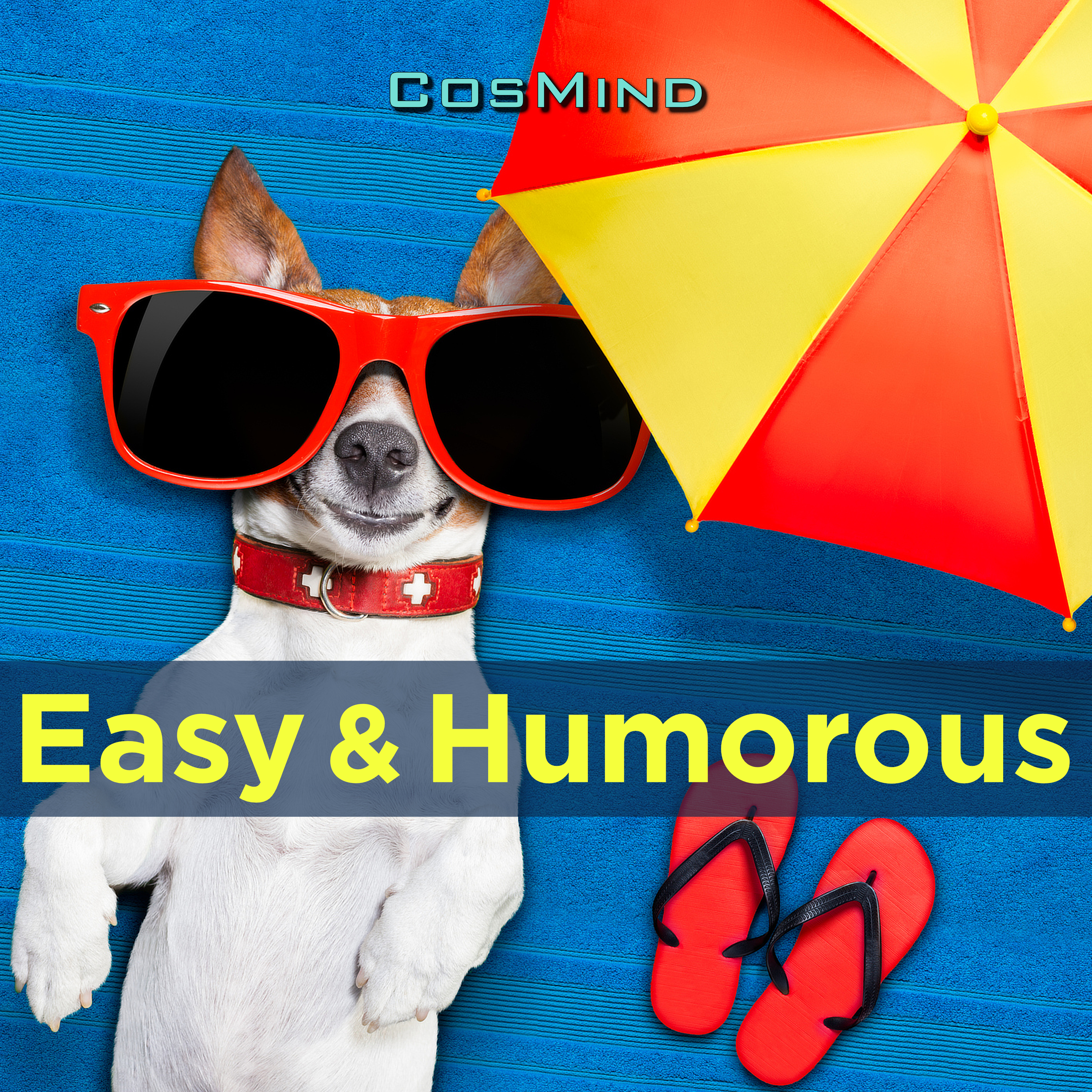 easy & humorous 표지