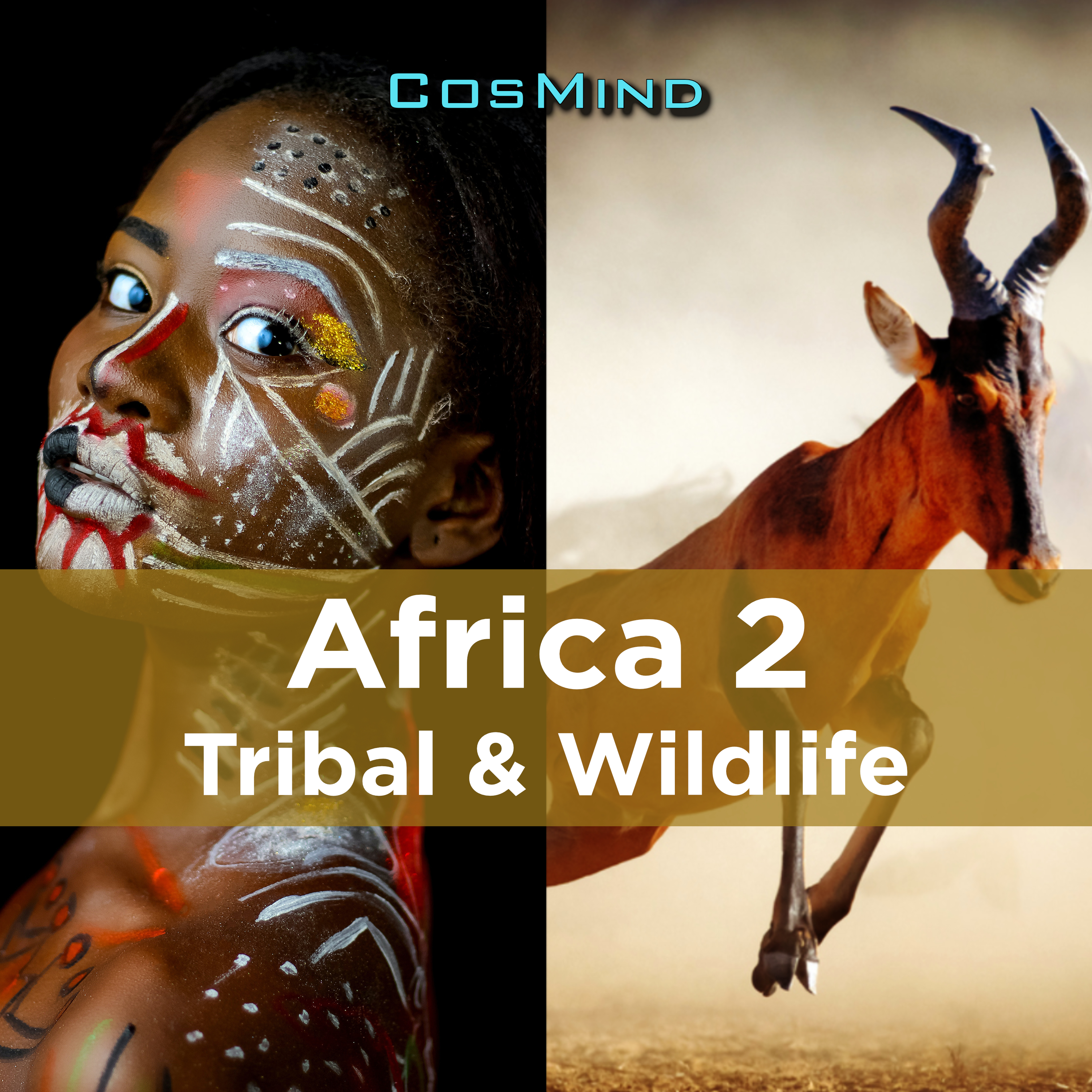 africa 2 표지