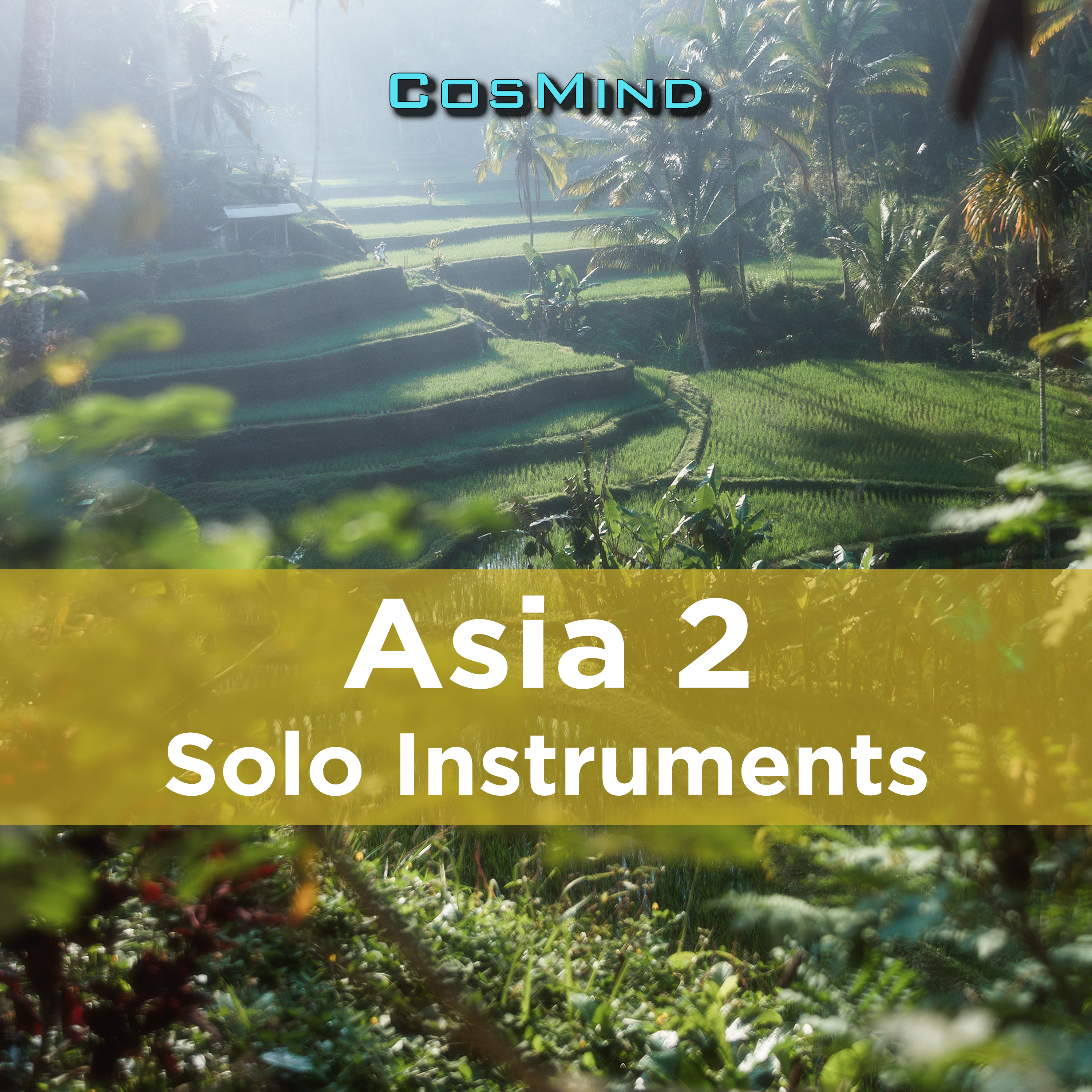 asia 2 (solo-instruments) 표지