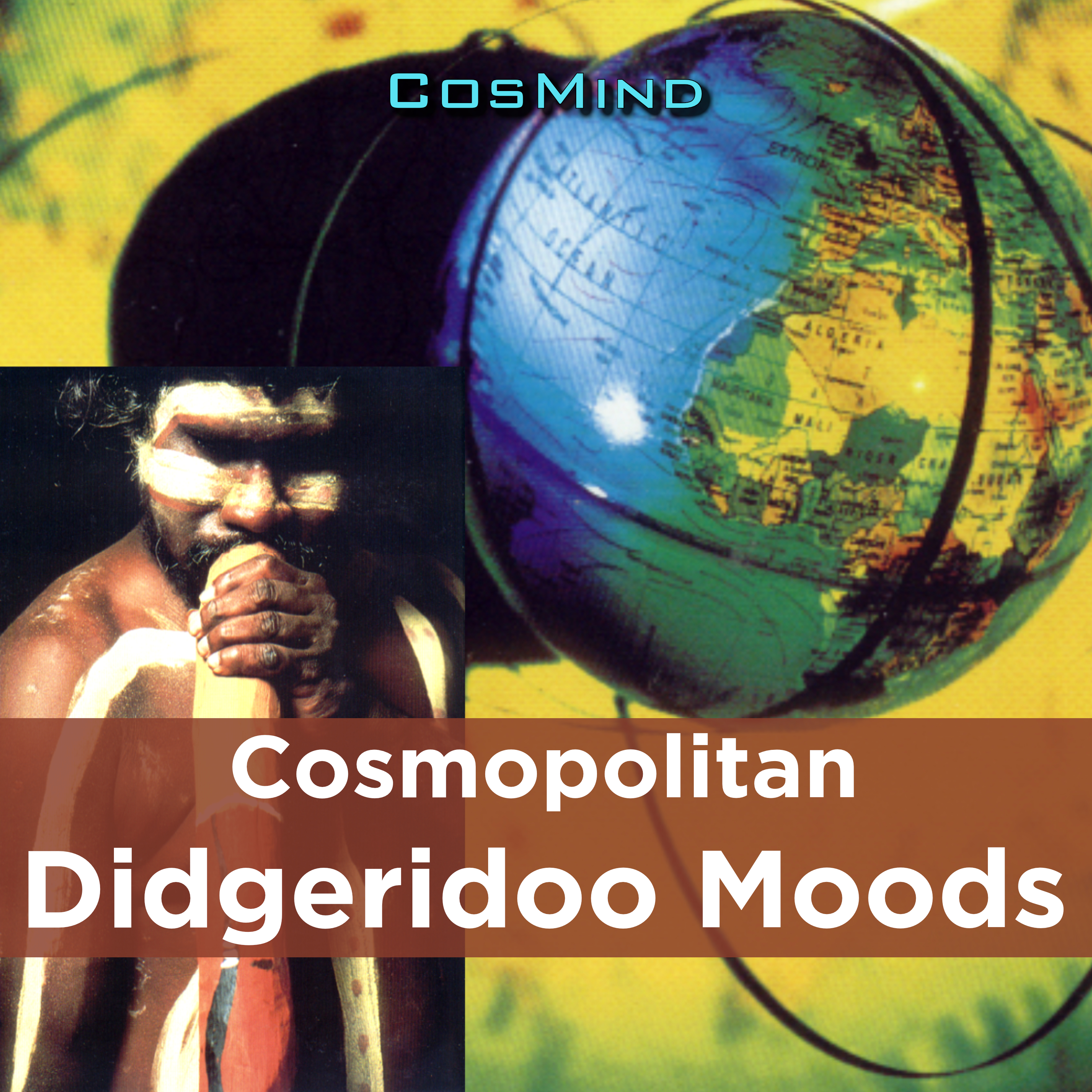 didgeridoo moods 표지